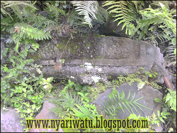 situs jetis nyariwaru01