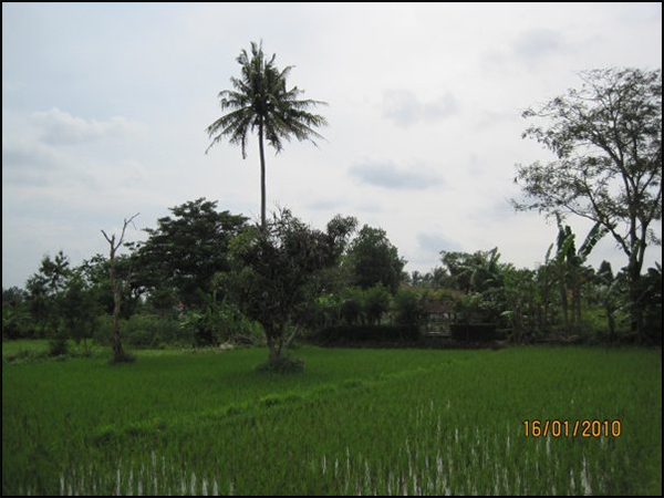 situs klodangan tarabuwana01