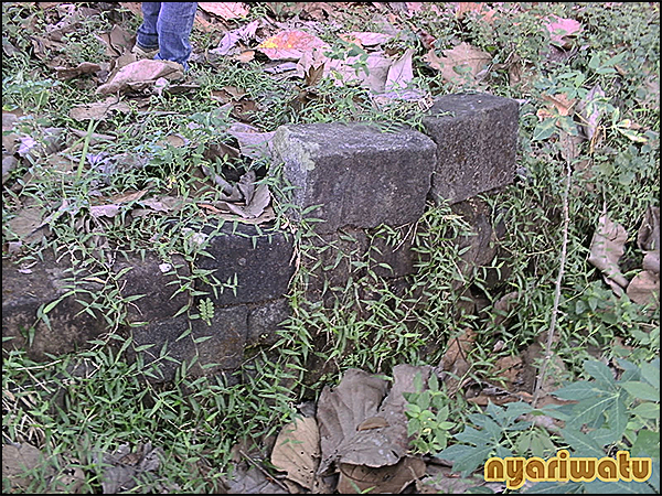 situs tinjon nyariwatu02