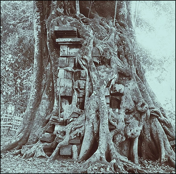 situs perot tarabuwana01