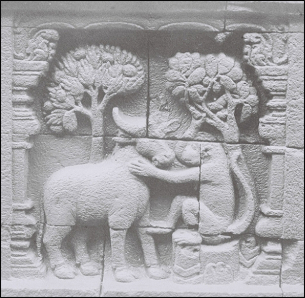 26-Mahisa-Jataka-1